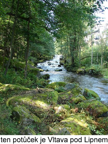 img00012.jpg
