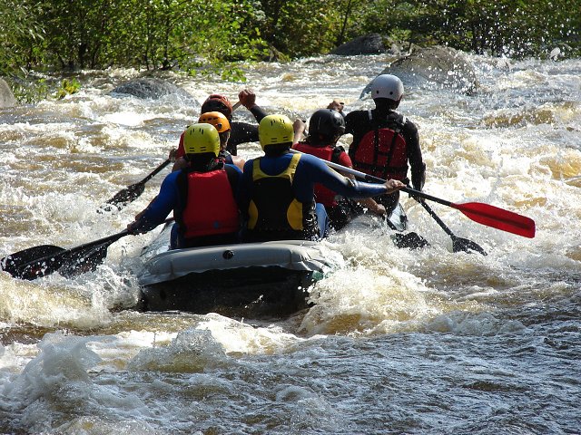 img00050.jpg