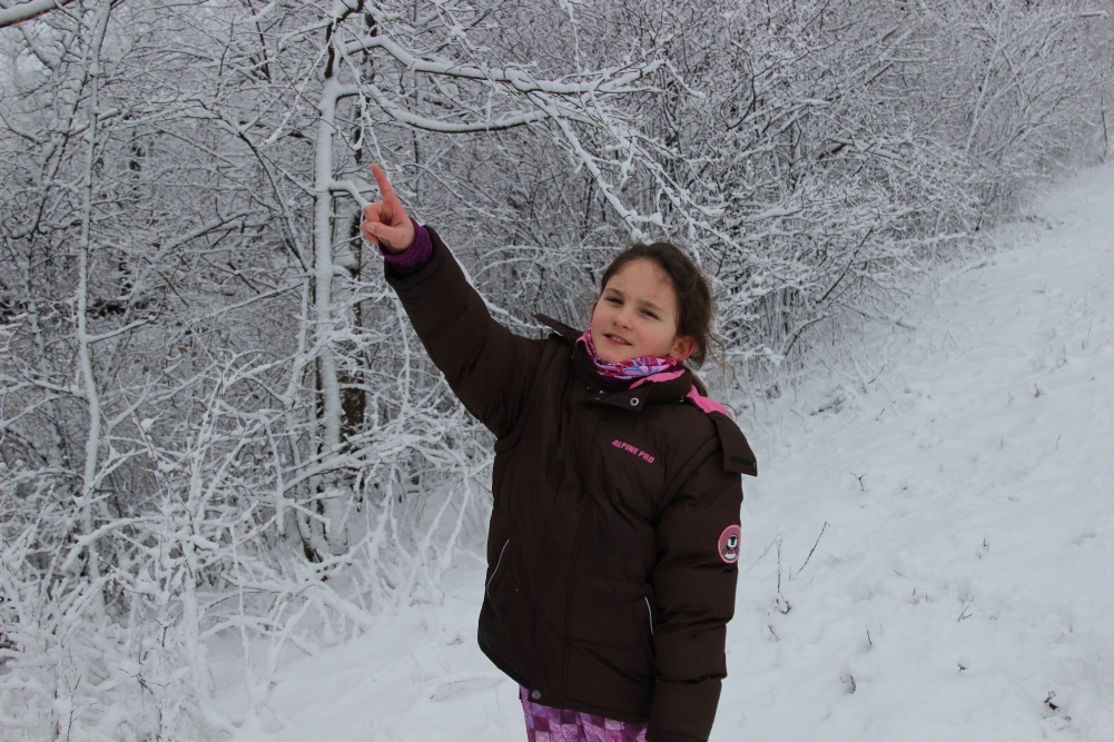 img00007.jpg