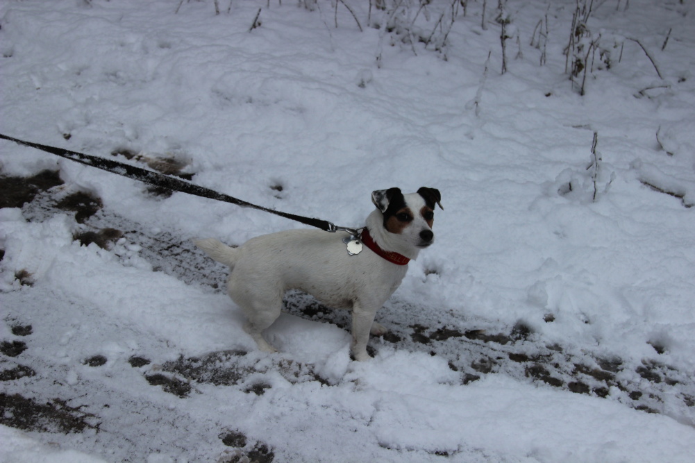 img00010.jpg